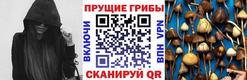 купить закладку  Грязи  Галлюциногенные грибы Magic Shrooms 